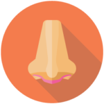 Learning Pathways: Info in Minutes Nasal polyps icon Icon of nose for Nasal Polyps video series