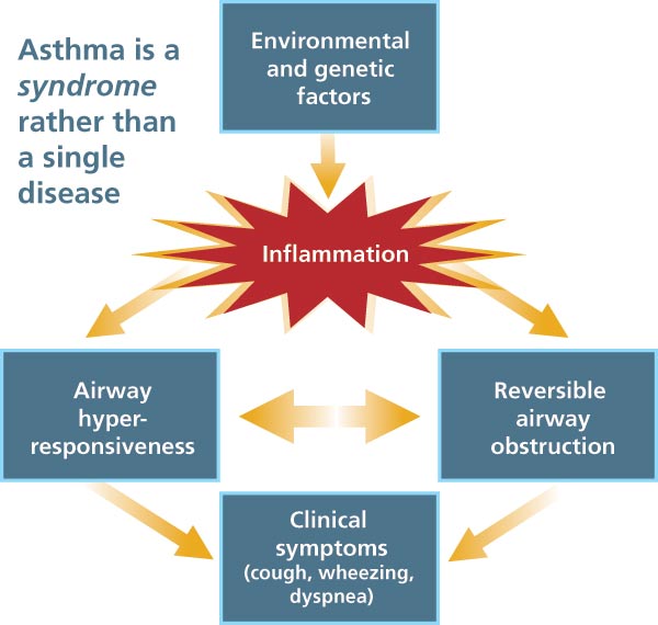 infographic显示严重的哮喘有多严重患有药物治疗的症状