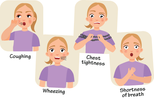Asthma symptoms in an infographic: coughing, wheezing, chest tightness, shortness of breath.