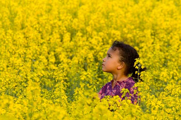 年轻的黑人姑娘在田野里开着一大片黄花。