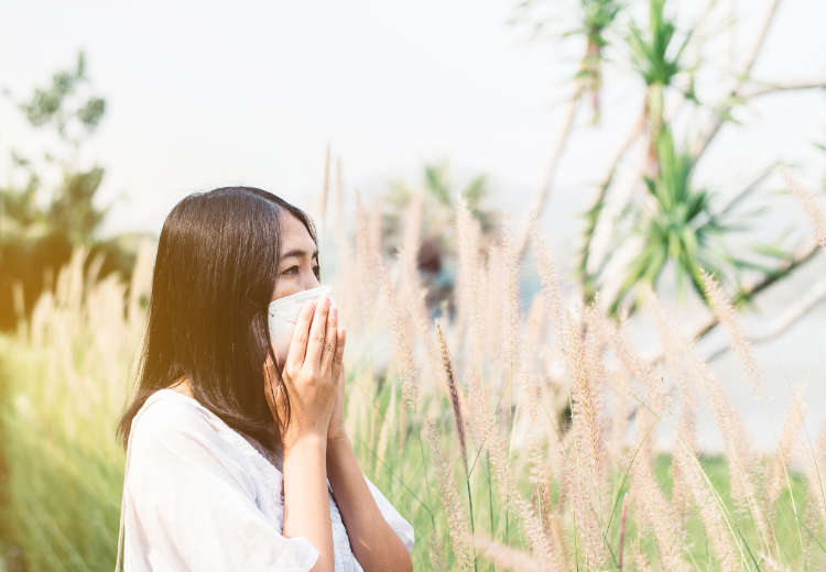 Young asian woman wearing mask and sneezes because of ragweed allergies.