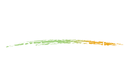 Eczema色彩标识