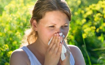 Join a Severe Allergy Study