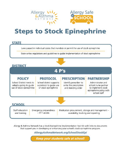 Thumbnail of Steps to Stock Epinephrine infographic