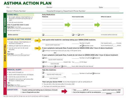 NHLBI Asthma Action Plan in English icon